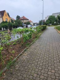 Plantations de printemps