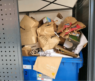 Autumn cleanup